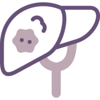 Icon on a pregnant woman